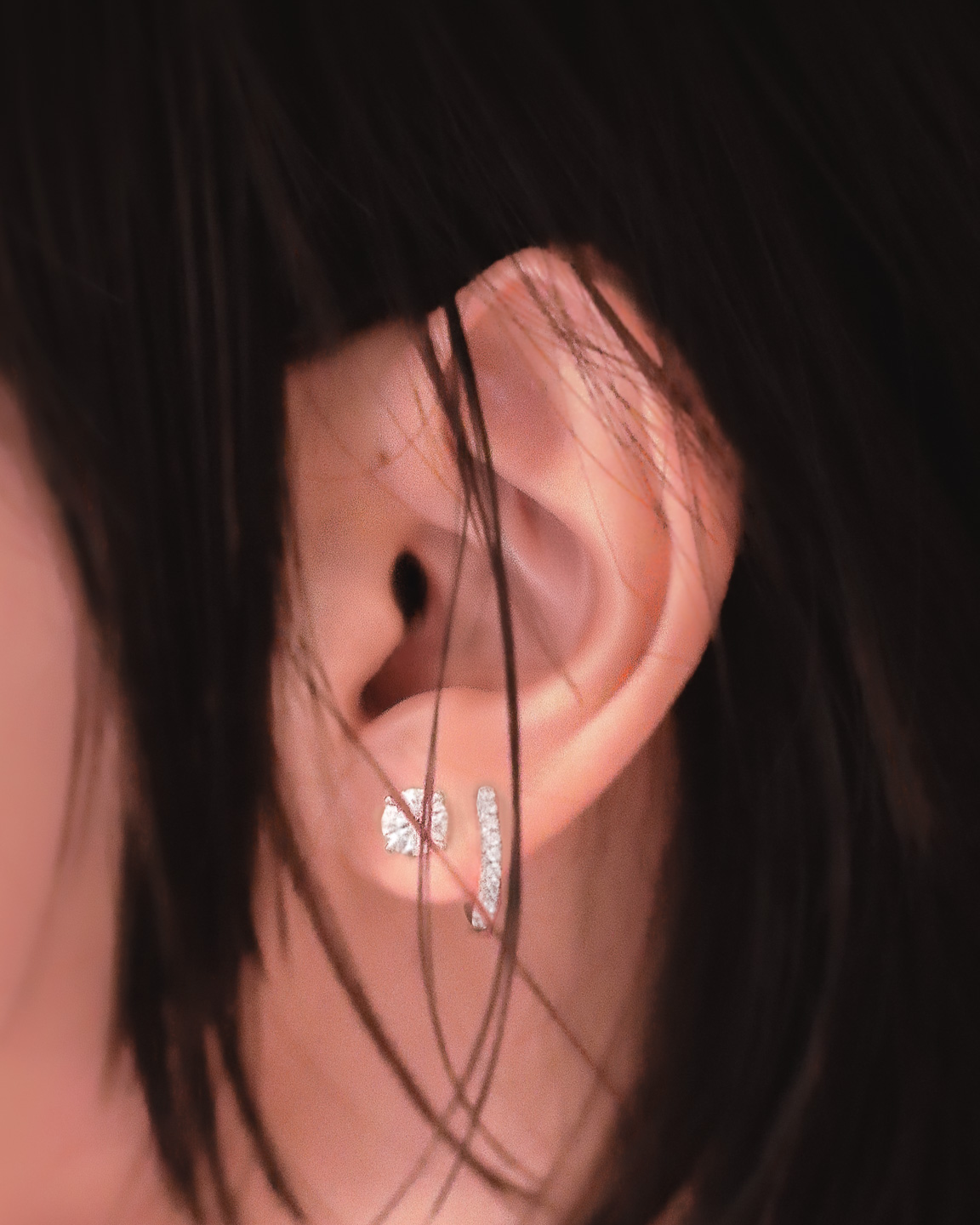 Stud Earrings